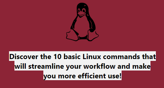 10 basic Linux commands